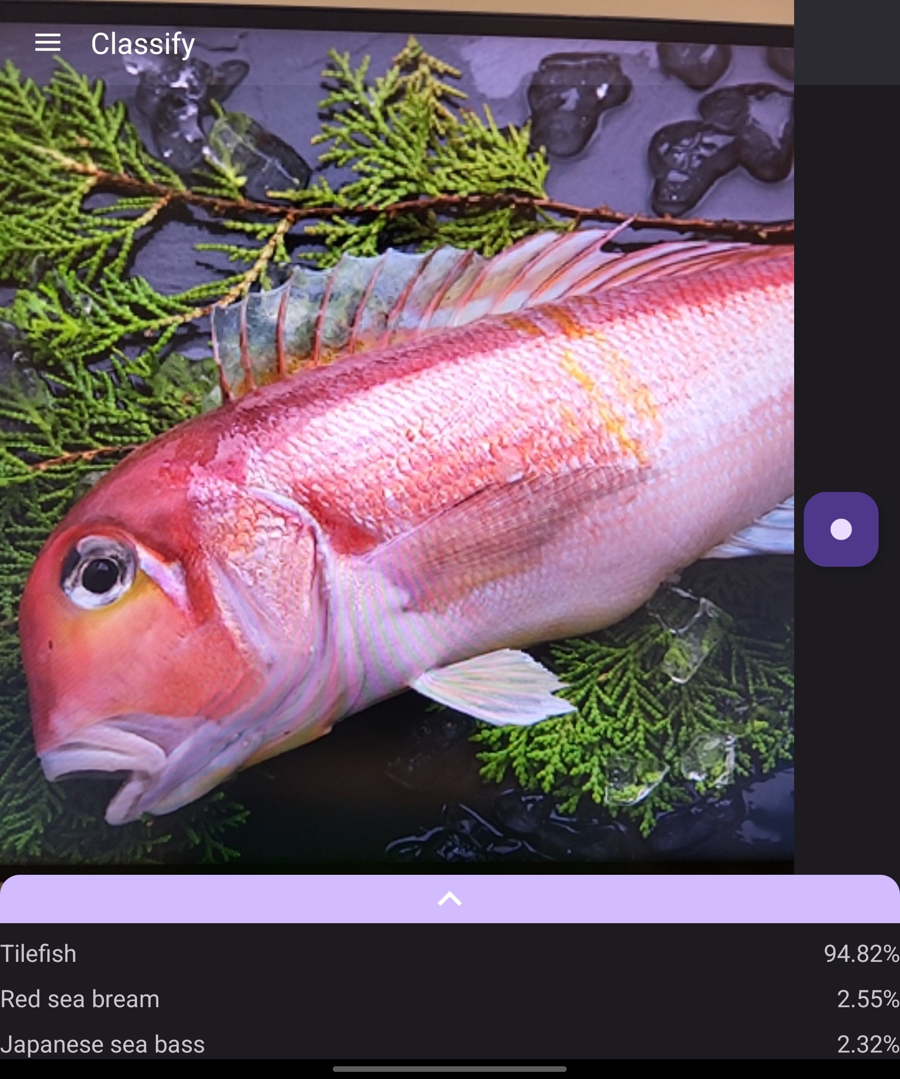 Cgraph: Classifying AI Camera APK للاندرويد تنزيل