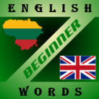 DicTeacher - English words icône