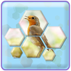 Hexa Jigsaw Puzzle APK