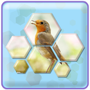 Hexa Jigsaw Puzzle APK