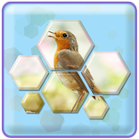 Hexa Jigsaw Puzzle