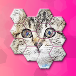 Cat Hexa Puzzle