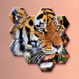 Animal Hexa Puzzle