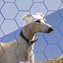 Dog Hexa Puzzle APK