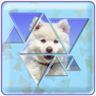 Triangle Puzzle Master icon