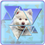 Triangle Puzzle Master