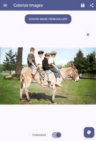Colorize Images تصوير الشاشة 1