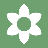 MobGPT - No Registration