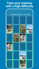 Photo Match Game XAPK download