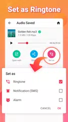 Video to MP3 - Video to Audio XAPK download