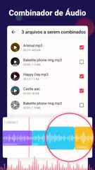 Baixar Conversor Video para Audio/MP3 XAPK
