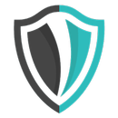 FiberVPN Pro APK