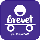 Brevet icône