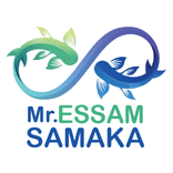 مستر عصام سمكة