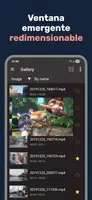 Lua Player Pro:Reproductor PIP captura de pantalla 2