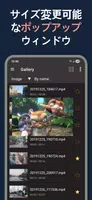 Lua Player Pro: PIP プレーヤー スクリーンショット 2
