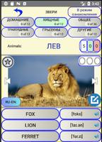 Английские слова с картинками  captura de pantalla 3