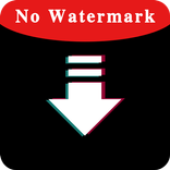 Video Downloader For Tik Tok