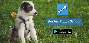 Pocket Puppy School