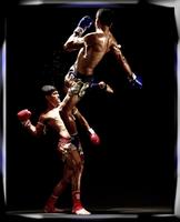 Learn Muay Thai اسکرین شاٹ 2