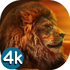 🐯 Lion Wallpapers - Angry 4K  biểu tượng