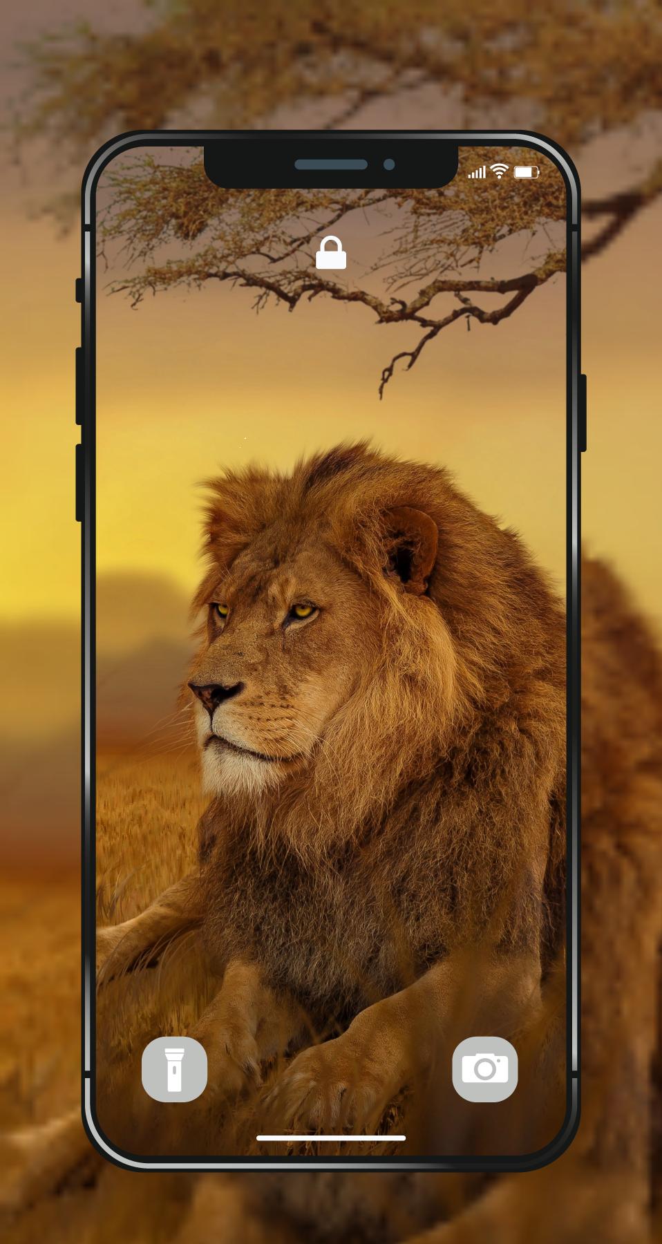 Lion Wallpapers Angry 4k Hd Lion Pictures For Android Lion Wallpapers Angry 4k Hd Lion Pictures For Android