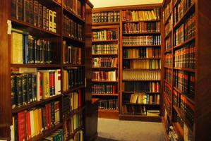 Biblioteca Screenshot 1