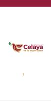 Celaya Móvil Affiche