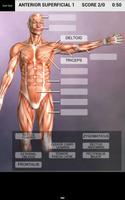 Muscle and Bone Anatomy 3D تصوير الشاشة 2