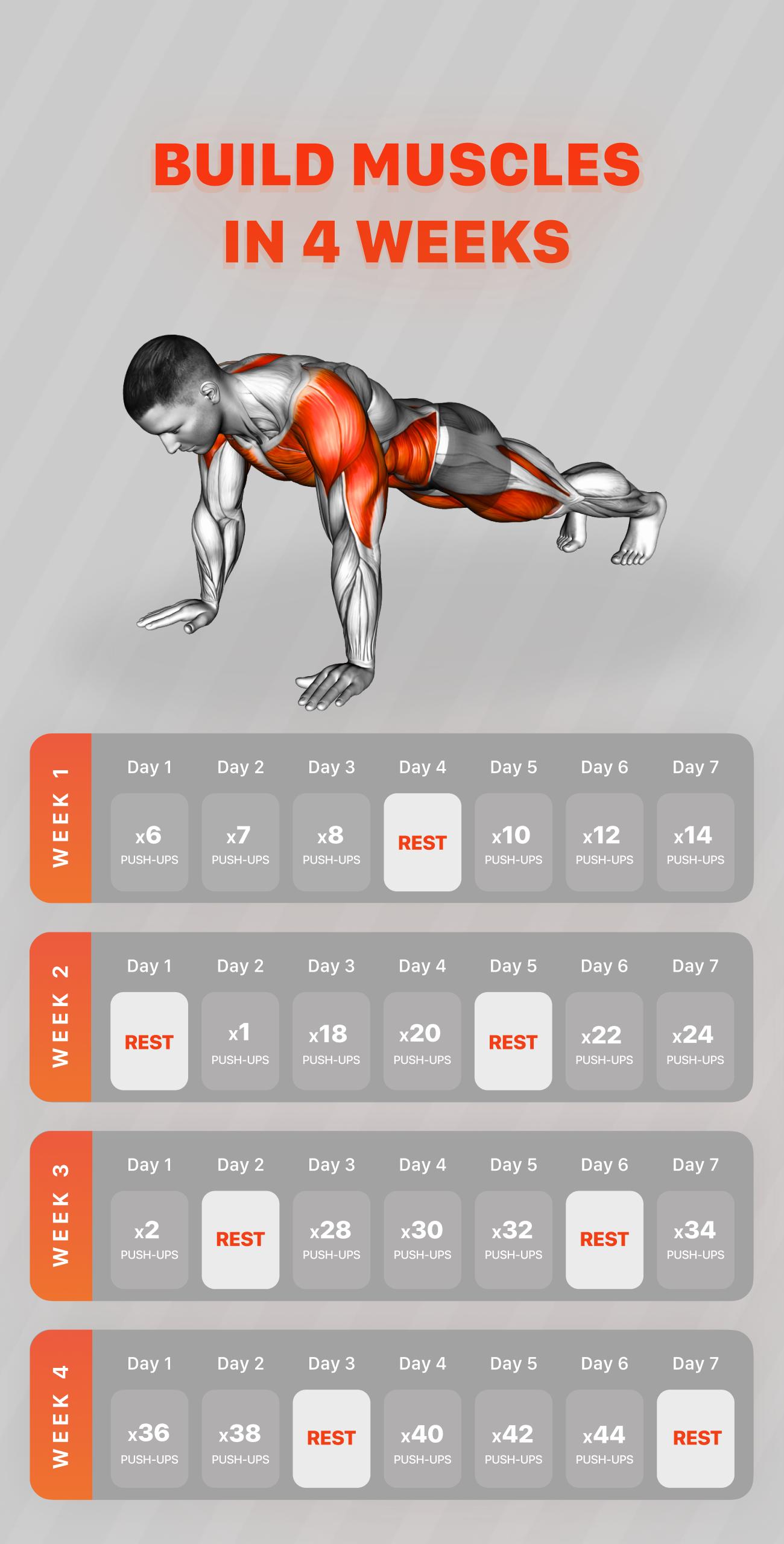 15 Minute Workout Planner Free App for push your ABS