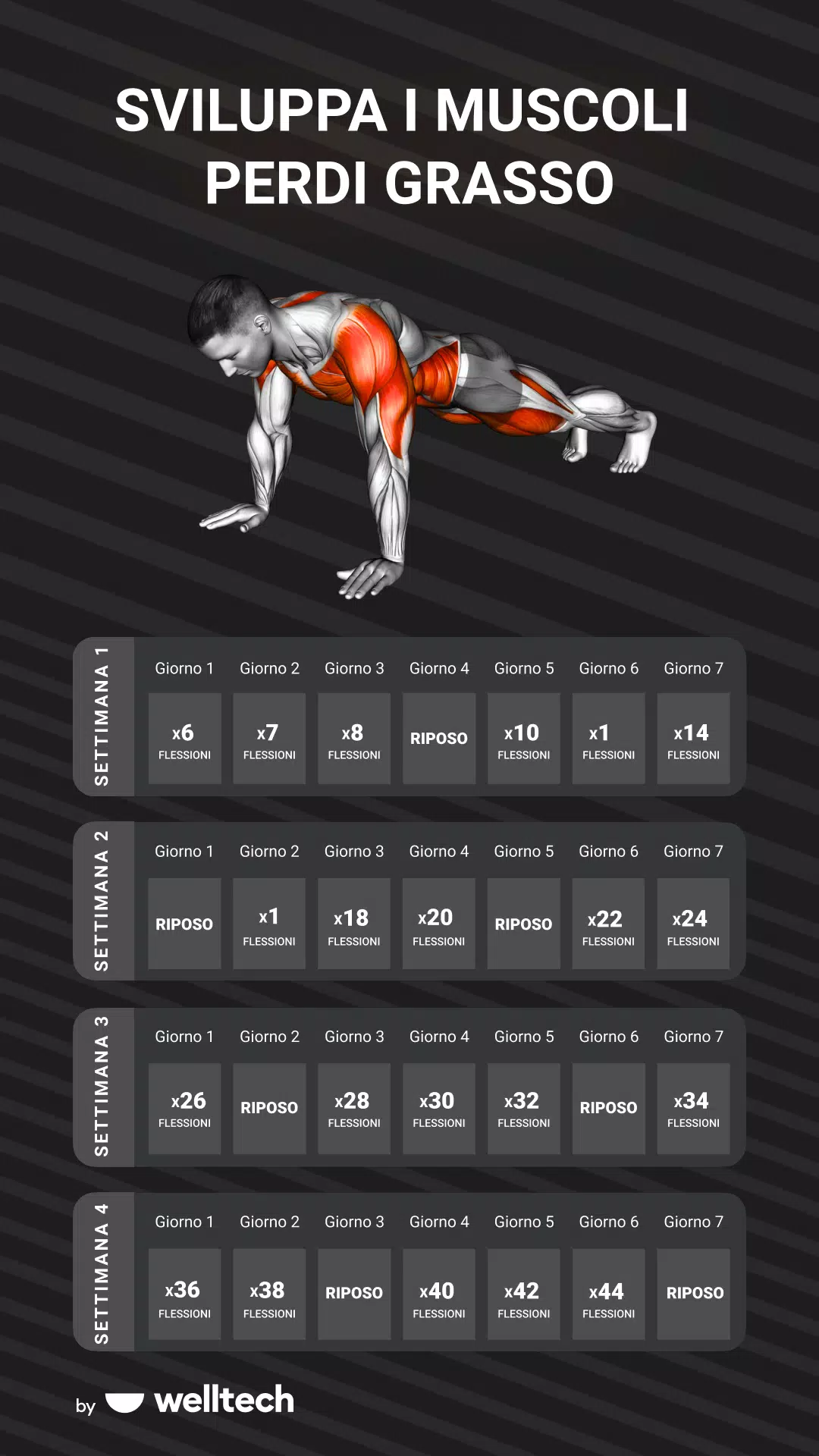 Fitness a casa: Muscle Booster APK per Android Download