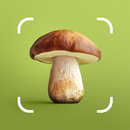 Mushroom ID - Fungi Identifier APK