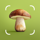 Mushroom ID biểu tượng