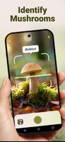 Mushroom ID - Fungi Identifier Affiche