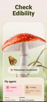 Mushroom ID - Fungi Identifier capture d'écran 2