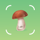 Mushroom Identifier by Picture APK