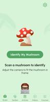 Mushroom Identifier پوسٹر