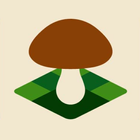 Icona Mushroom Spot