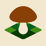 Mushroom Spot - грибная карта