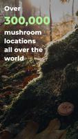 Mushroom Spot الملصق