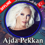 Ajda Pekkan şarkıları, internet olmadan