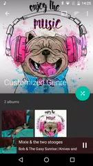 Baixar Fuel Player - Leitor de música XAPK