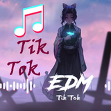 Nhạc tổng hợp trên tik tok