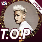 T.O.P आइकन