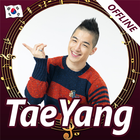 TaeYang icon