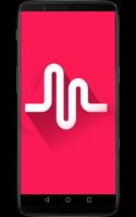 Tik tok and Musically Guide 2019 पोस्टर