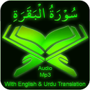 Surah Baqrah Audio mp3 offline APK