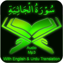 Surah jaathiyah audio mp3 offline APK