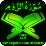 Surah Rum Audio mp3 offline icône