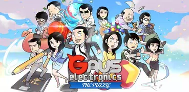 Gaus Electronics: The Puzzle